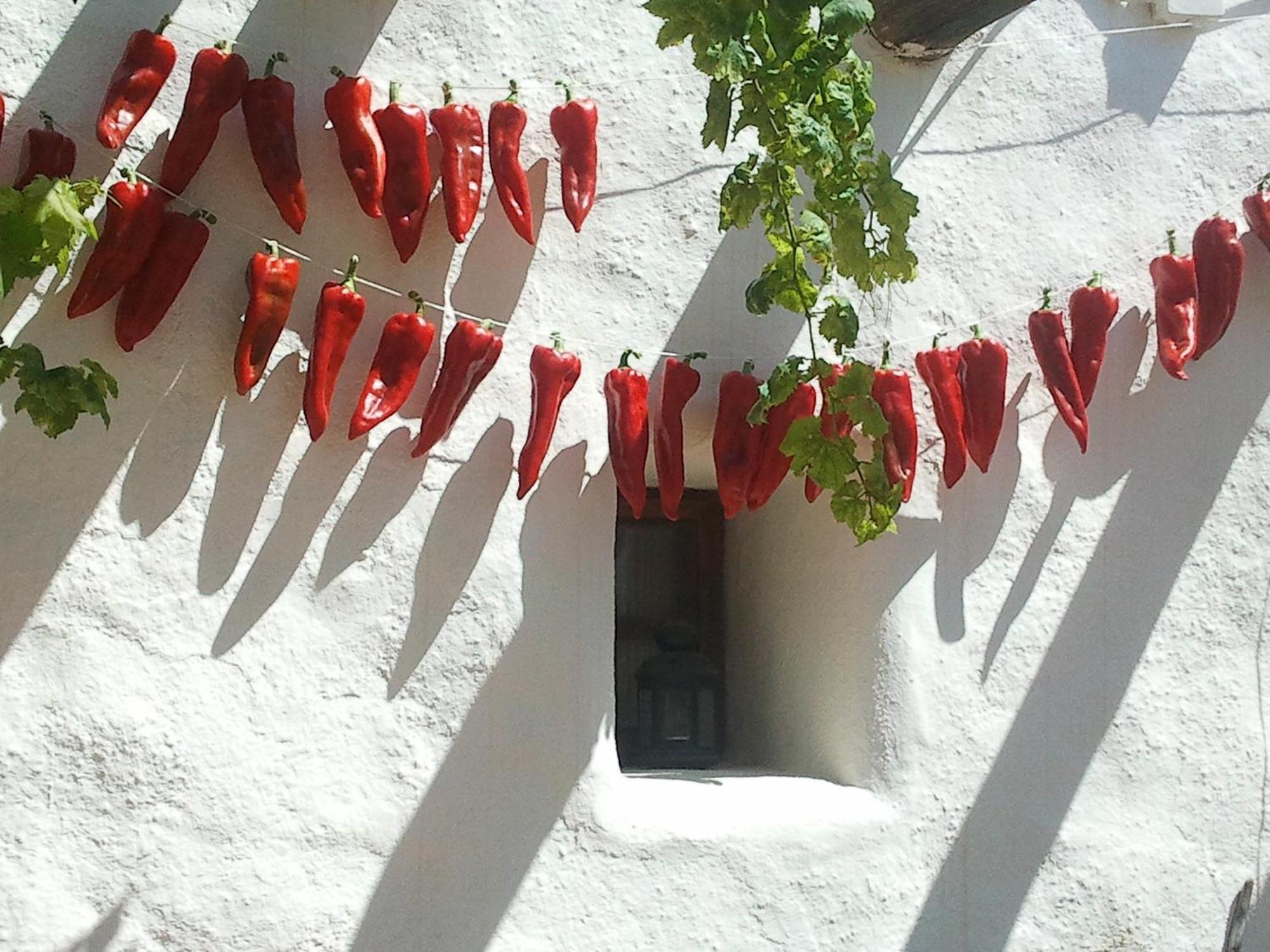 Hotel Rural Cortijo La Alberca Ніхар Екстер'єр фото