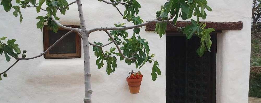 Hotel Rural Cortijo La Alberca Ніхар Екстер'єр фото