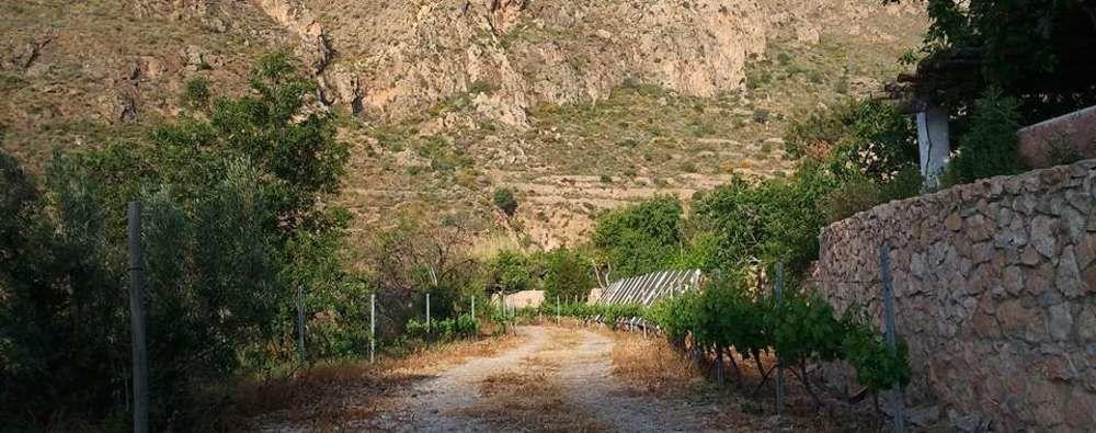 Hotel Rural Cortijo La Alberca Ніхар Екстер'єр фото
