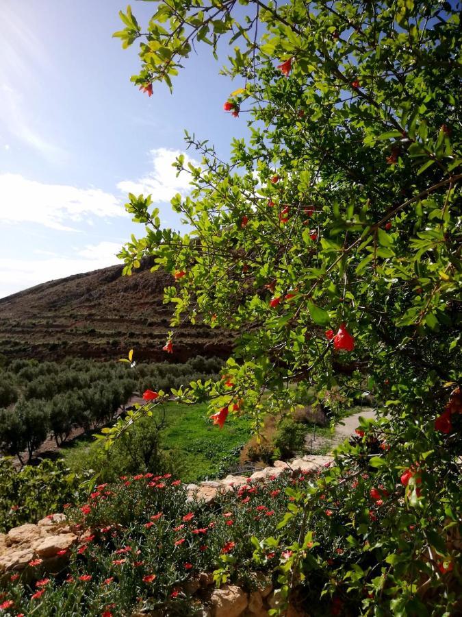 Hotel Rural Cortijo La Alberca Ніхар Екстер'єр фото